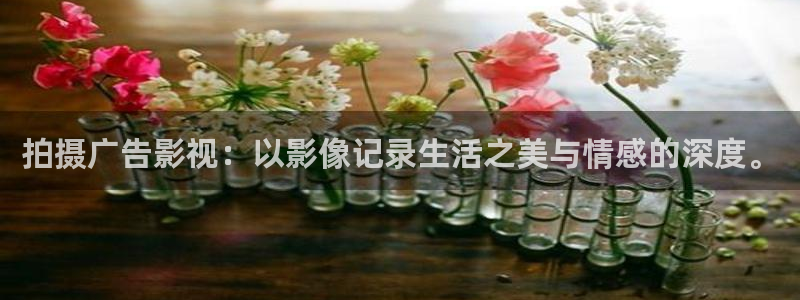 奔跑吧第十季免费观看策驰影院：拍摄广告影视：以影像记录生活之美与情感的深度。