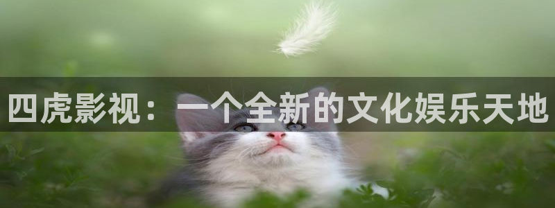 策驰影院我是刑警：四虎影视：一个全新的文化娱乐天地