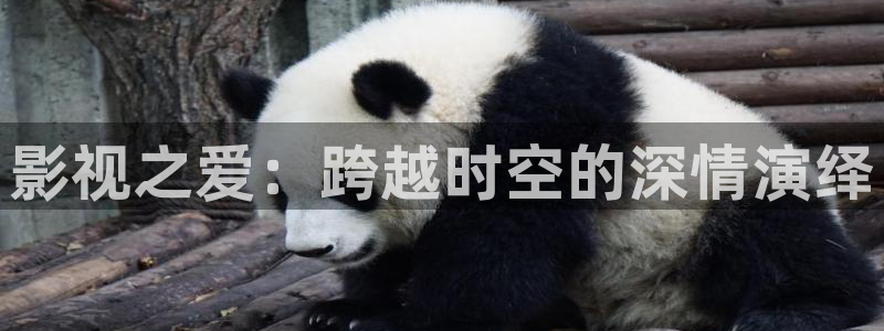 爱你张凌赫电视剧在线观看策驰影院：影视之爱：跨越时空的深情演绎