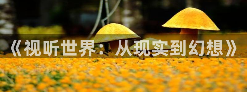 凡人歌策驰影院