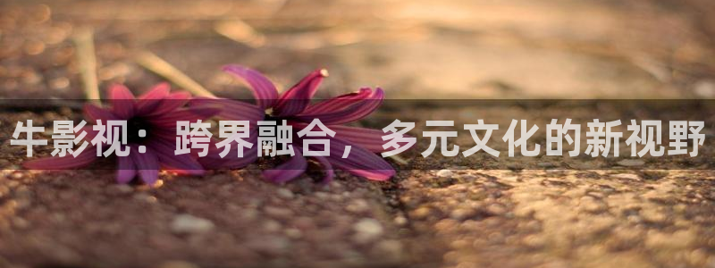 青春有你2策驰影院观看：牛影视：跨界融合，多元文化的新视野